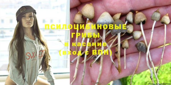 твердый Киренск